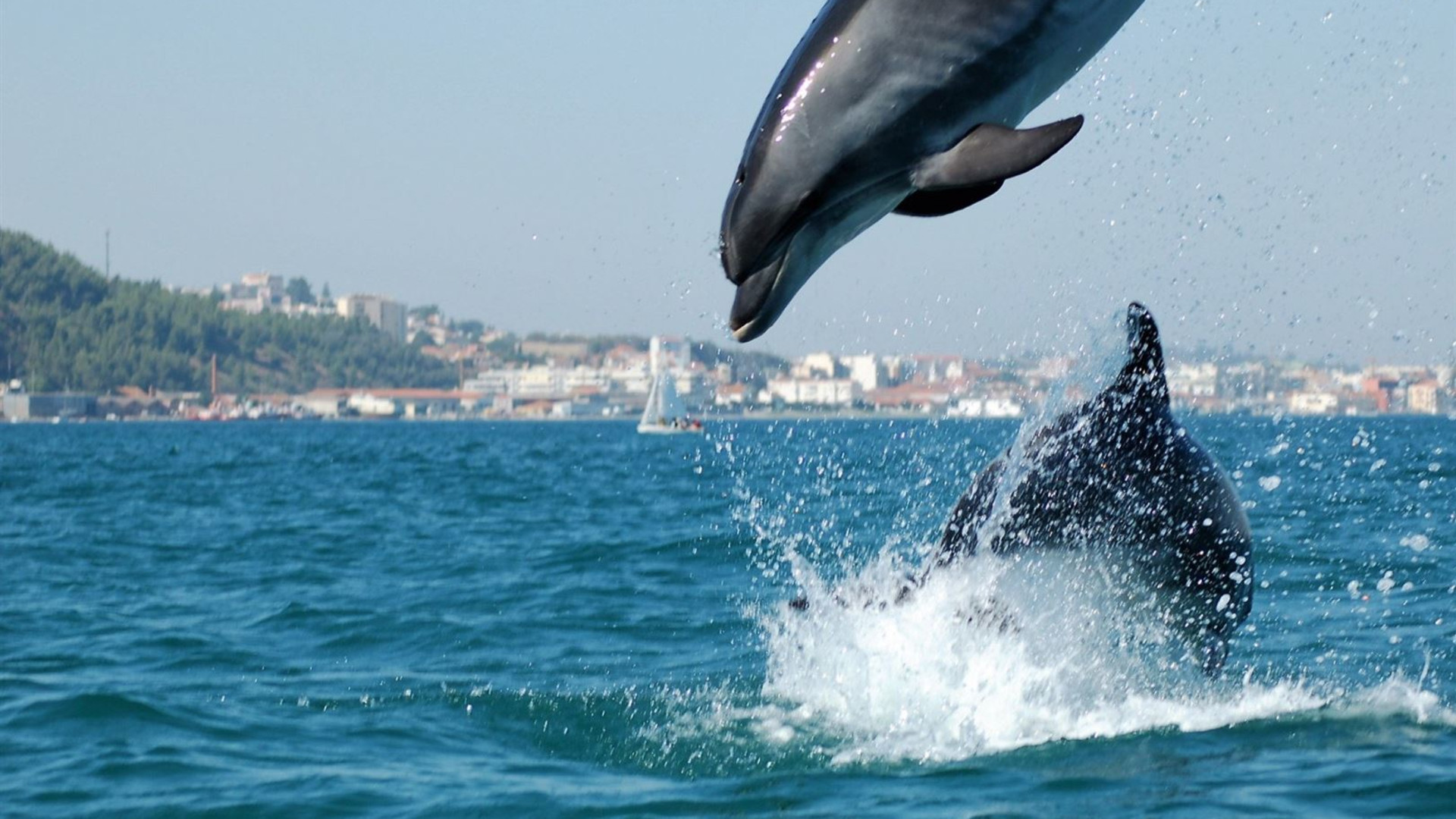 Cycling the Algarve's Rota Vicentina