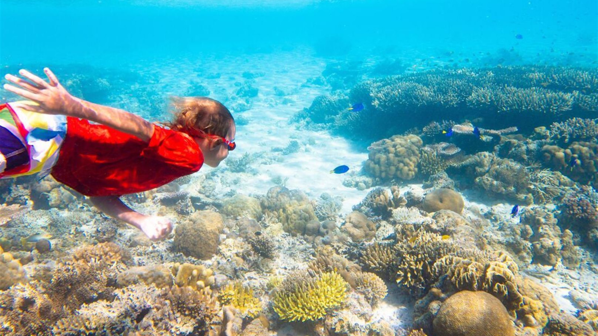 Borneo Premium Family Holiday