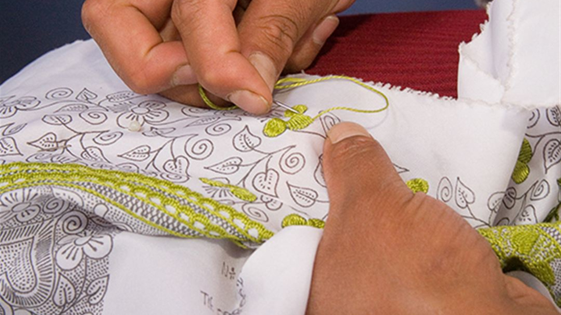 Signature: Ecuador's Amazon Rainforest & Andean Highlands