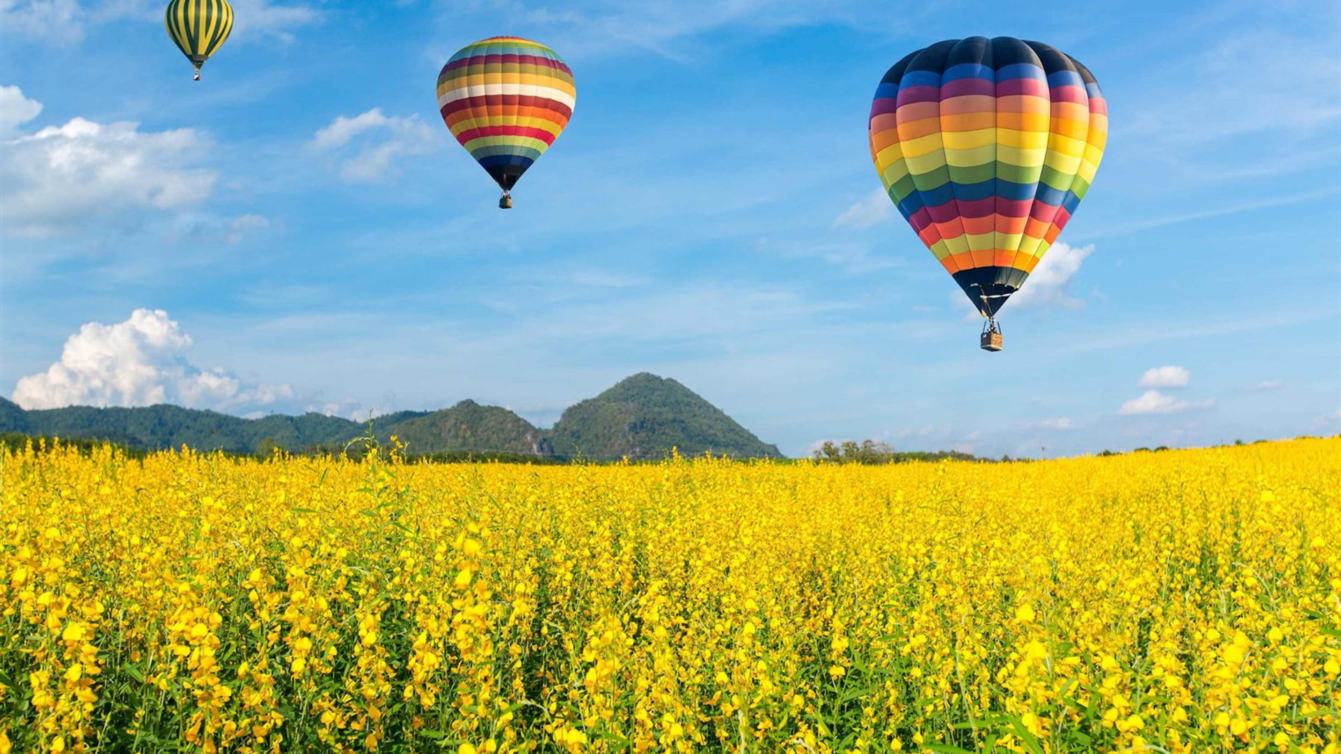 Colourful Trails of the Southwest