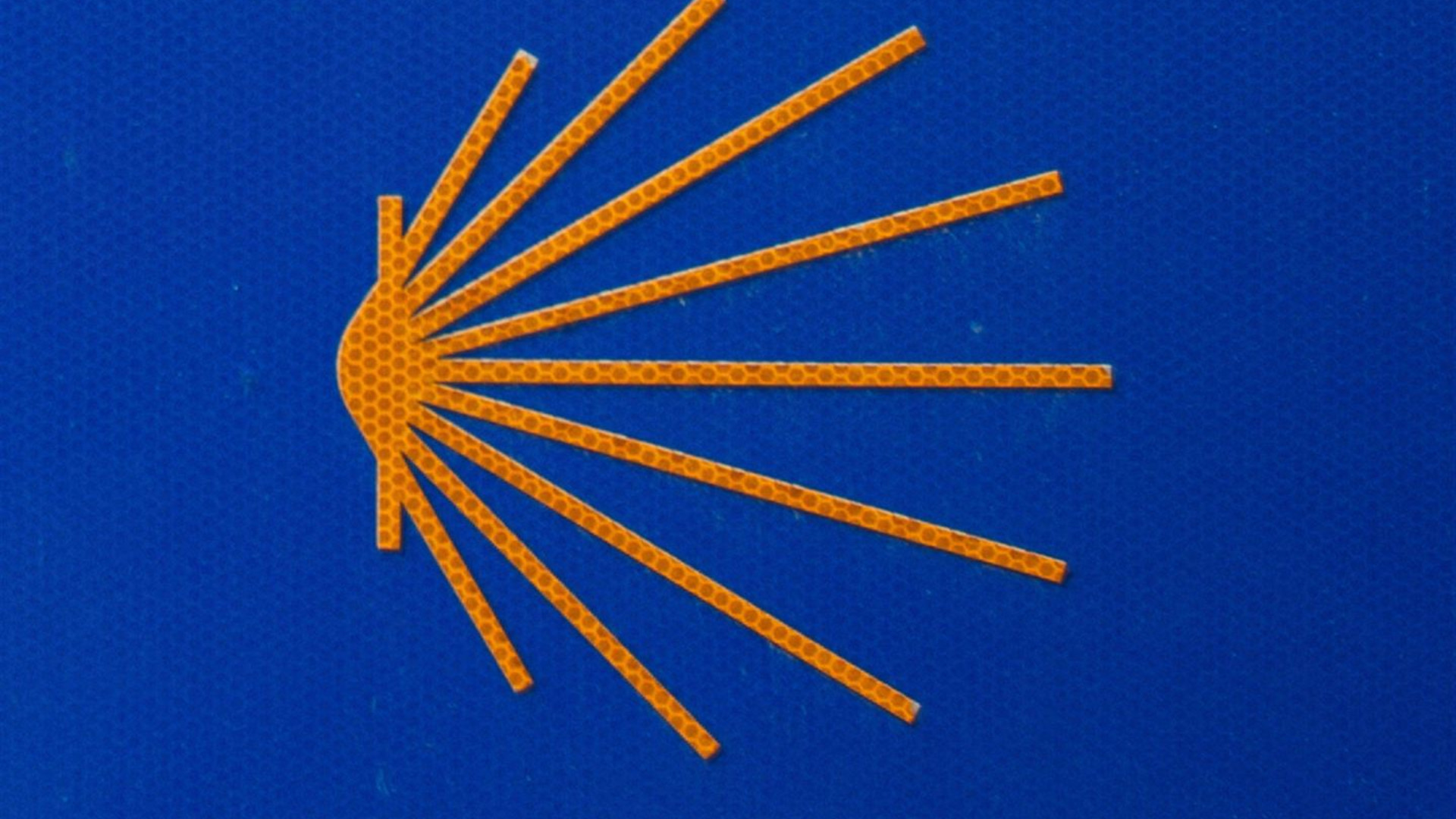 Walk the Camino de Santiago