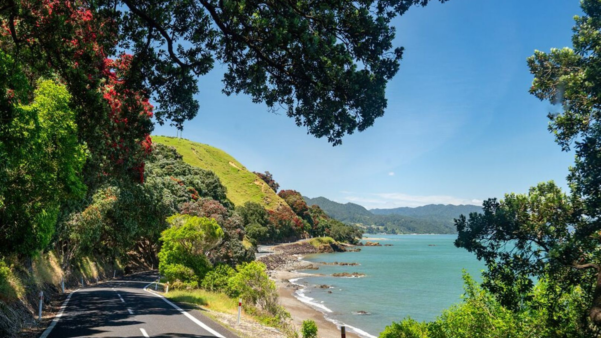 Ultimate New Zealand