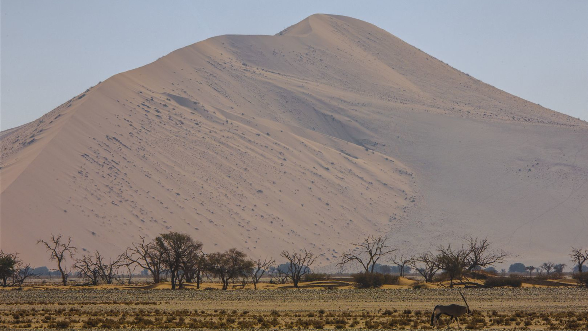 Kapstadt & Dünen Entdeckungsreise