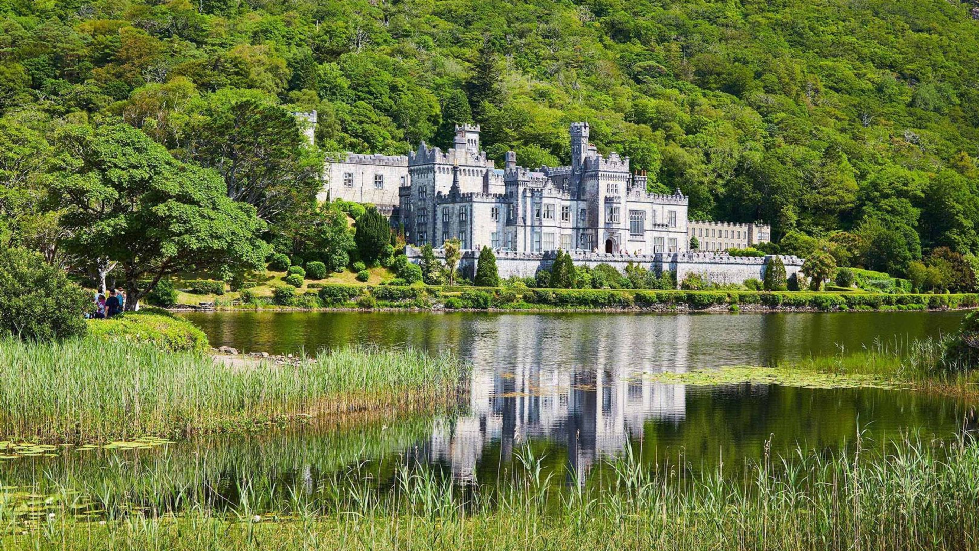 Irish Elegance - Premium