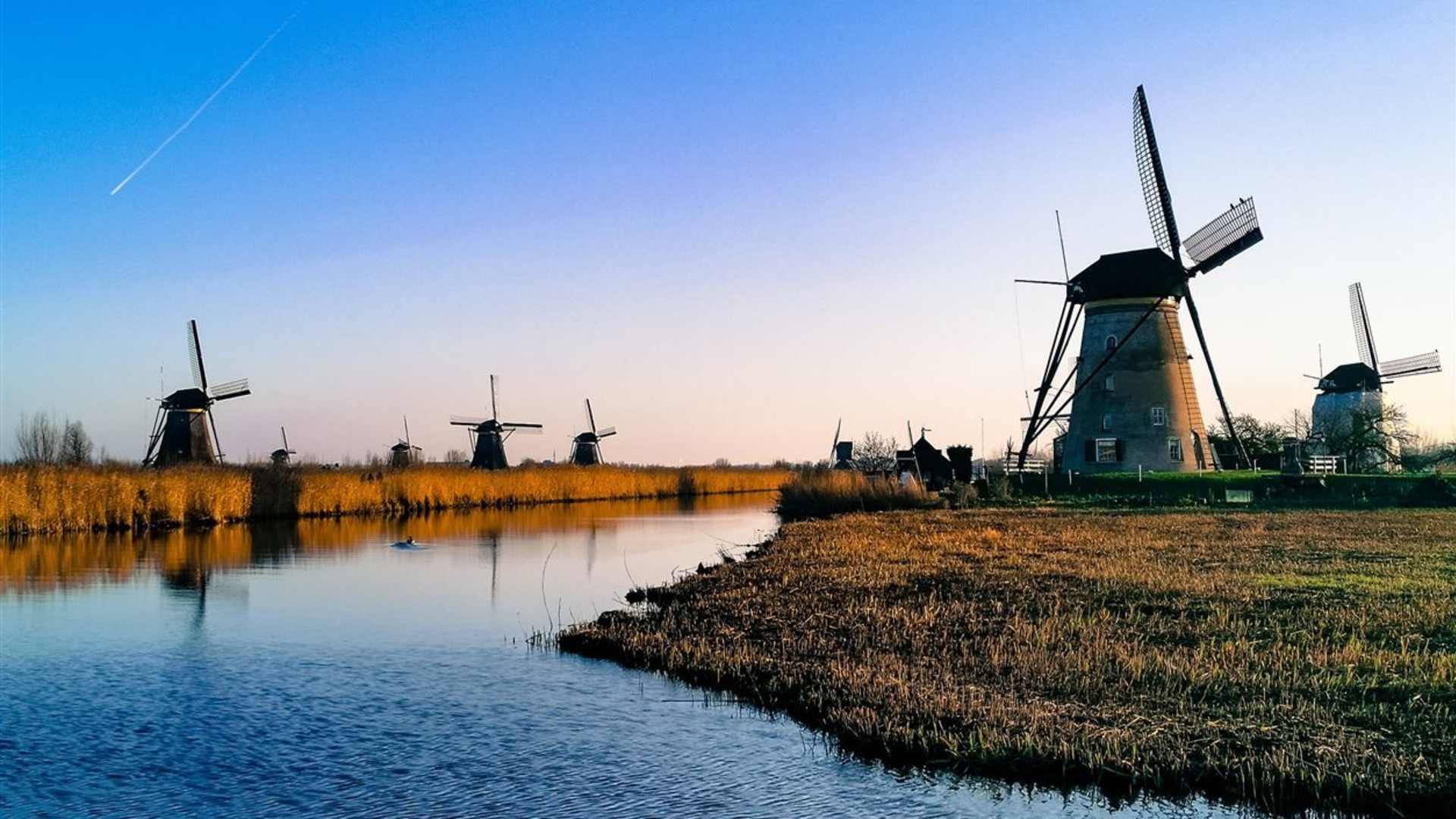 Holland and Belgium Springtime River Cruise