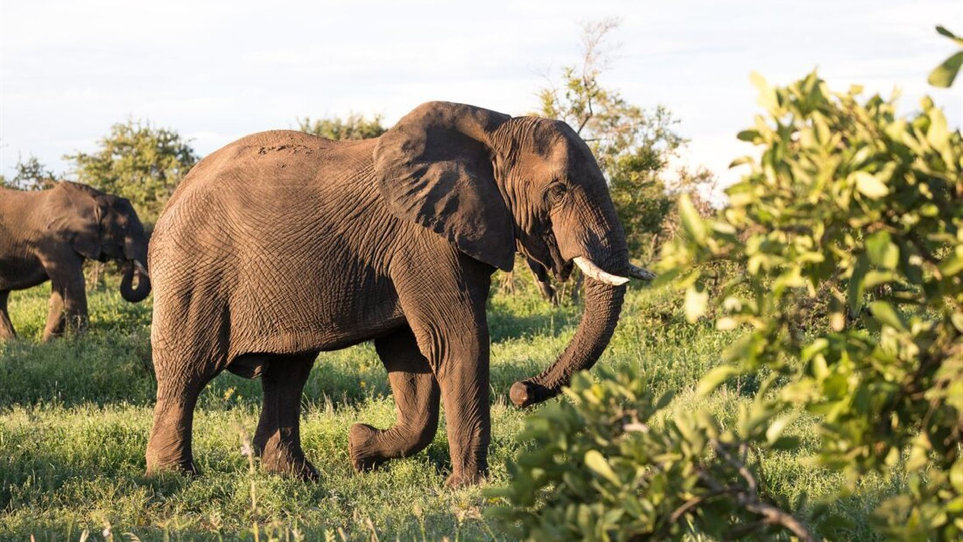 Experience Southern Africa