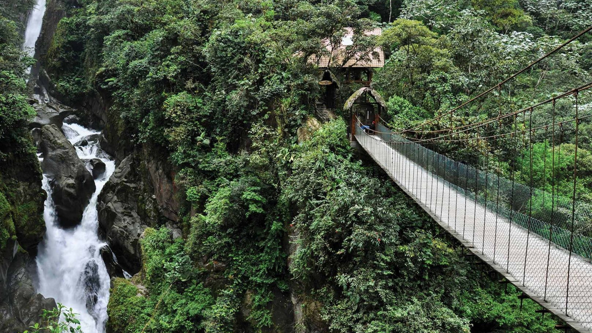 Ecuador Amazon & Galapagos Family Holiday
