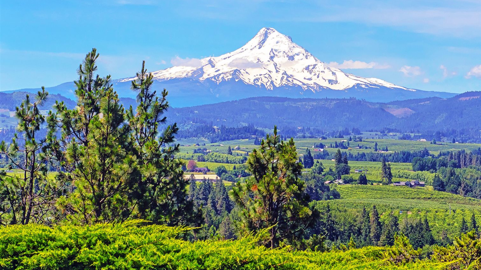 Pacific Northwest & California