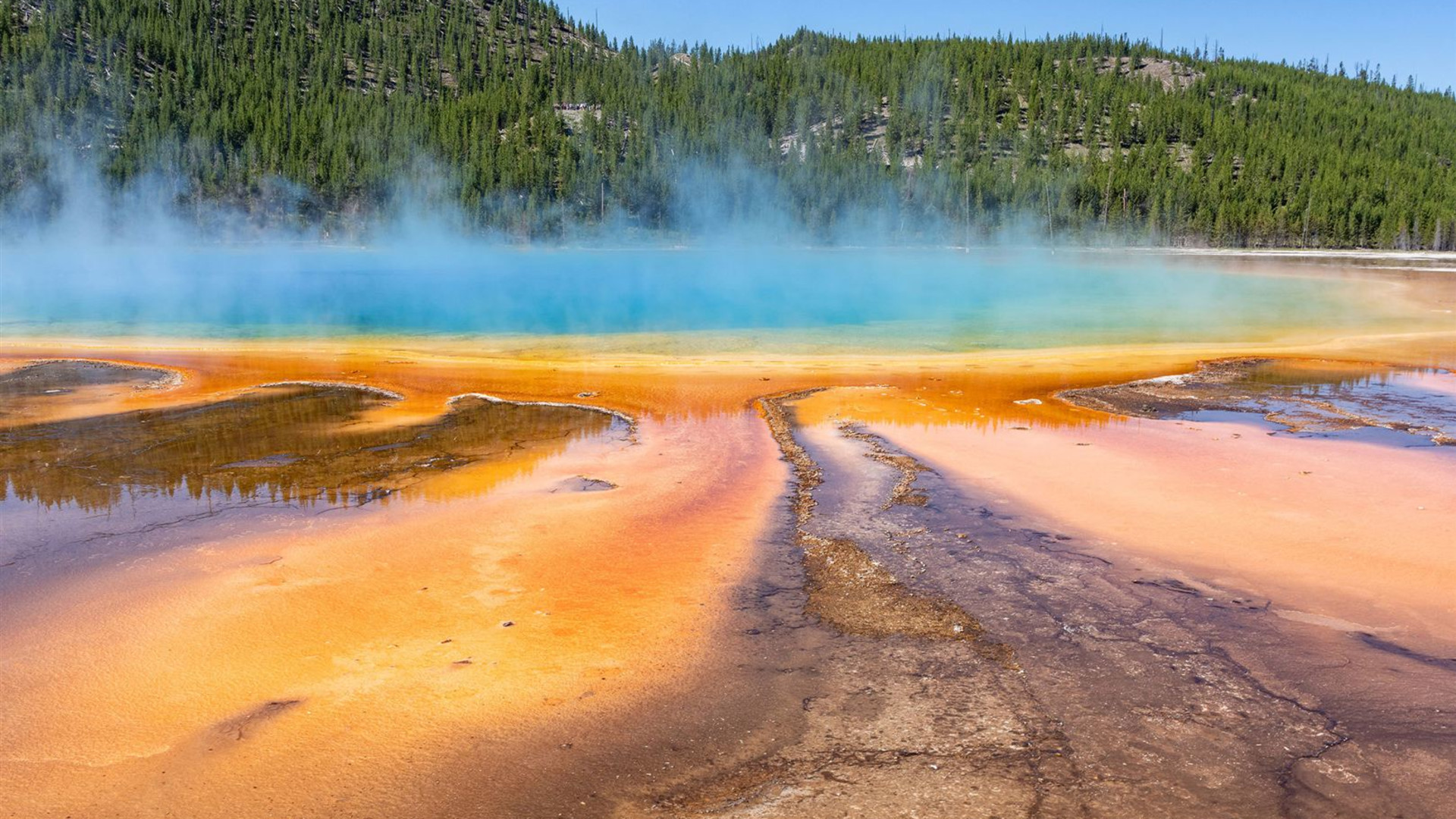 Yellowstone Discovery