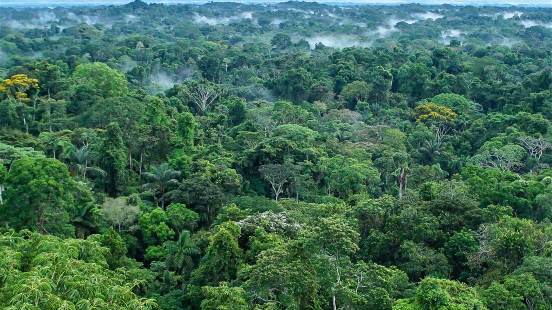 Mainland Ecuador and Galapagos Cruise 