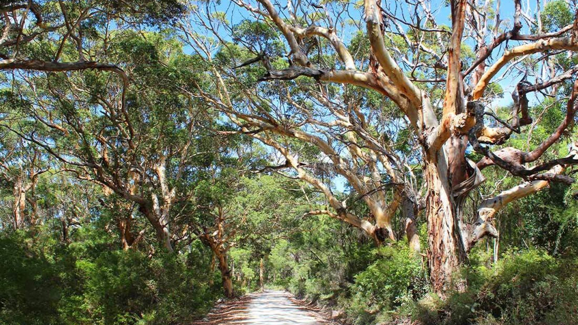 Best of Perth, Margaret River & Rottnest Island