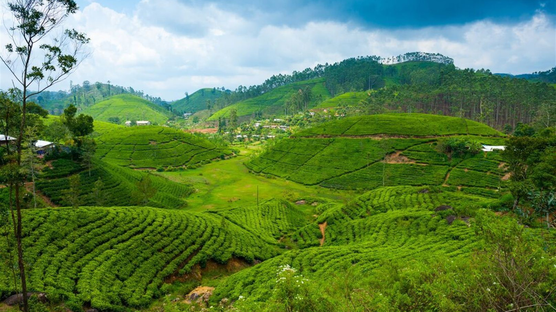 Sri Lanka: Hike, Bike & Kayak