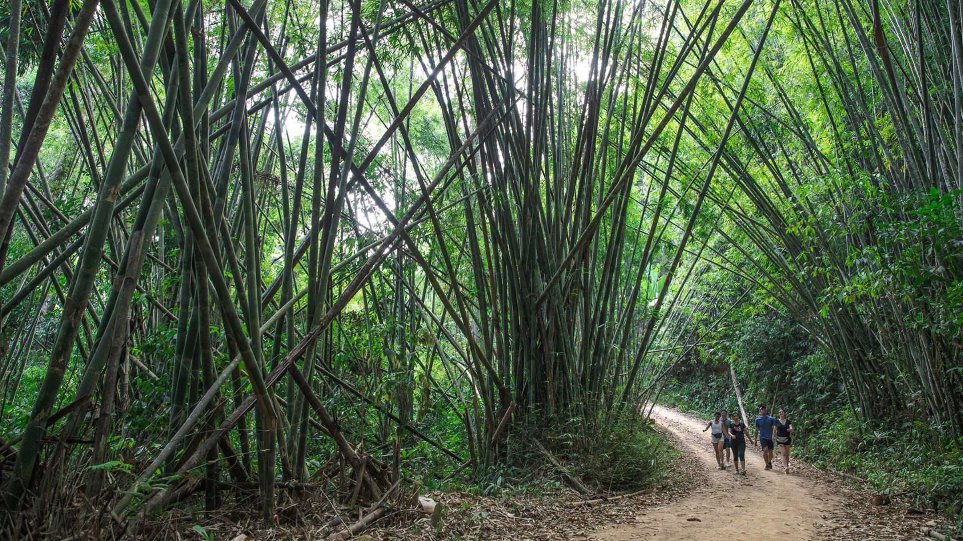 Von Laos nach Nordthailand – Reisfelder & Radtouren