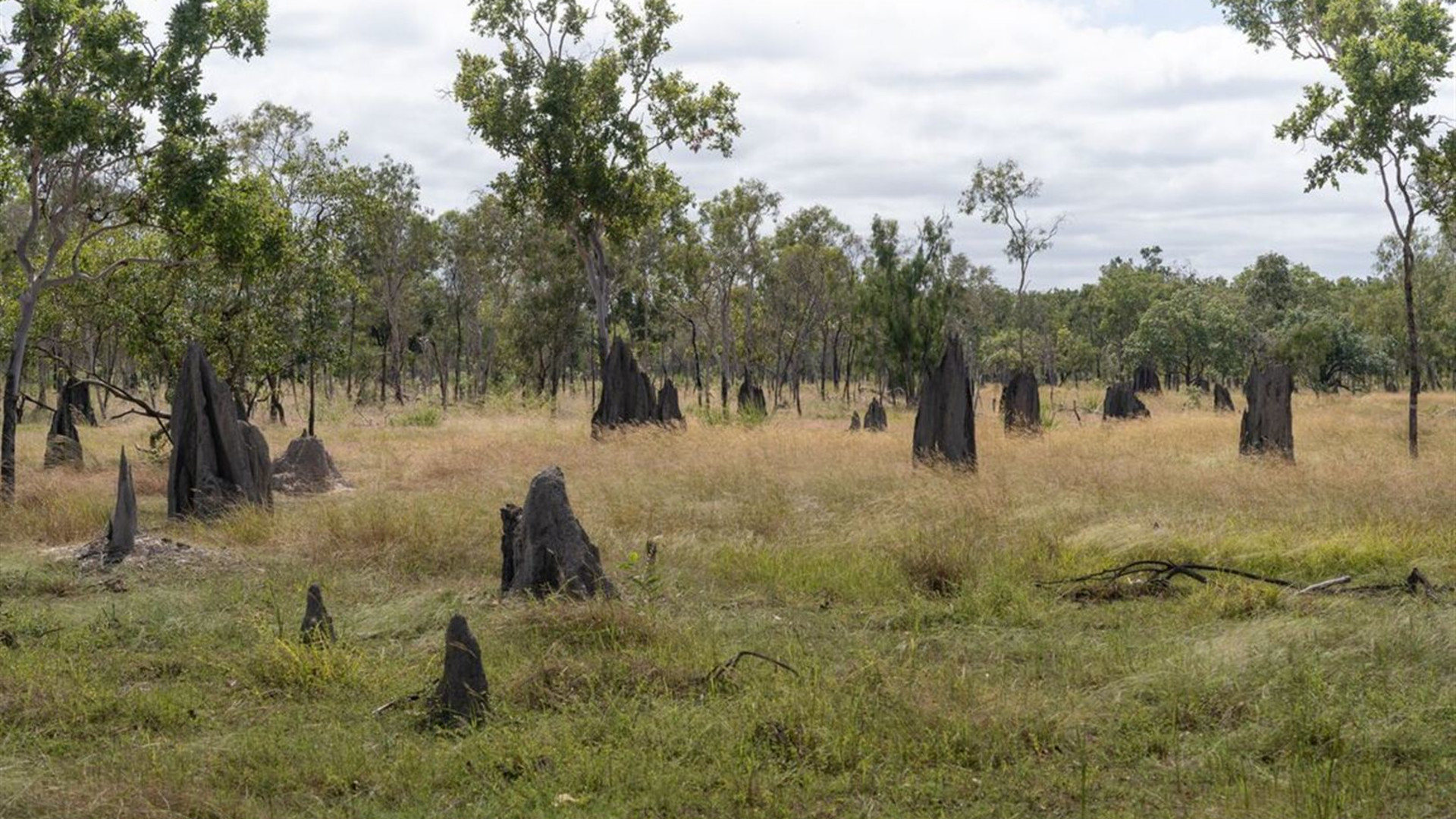 Cape York & Torres Strait Adventure
