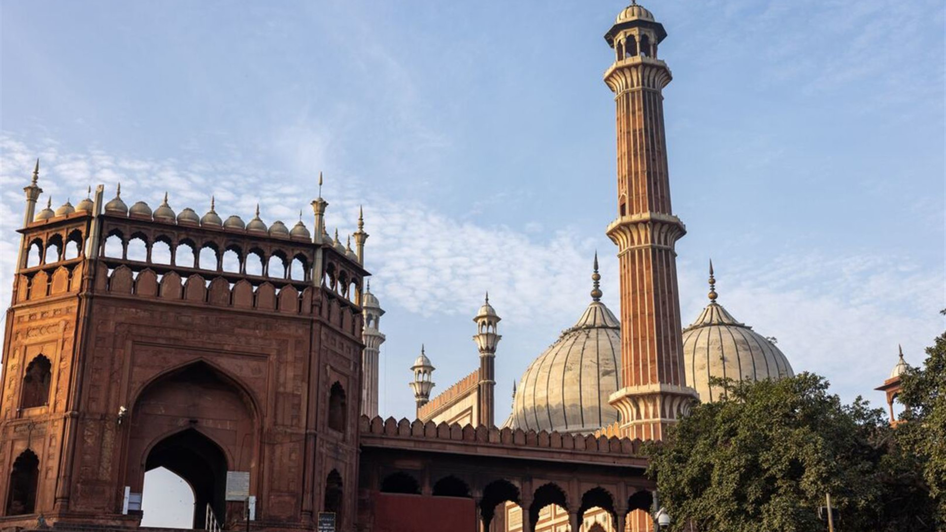 Northern India Family Holiday