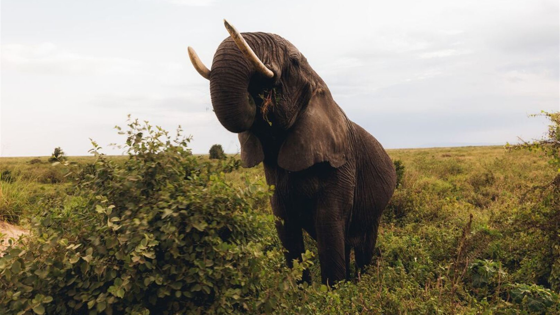 The Maasai Heartlands