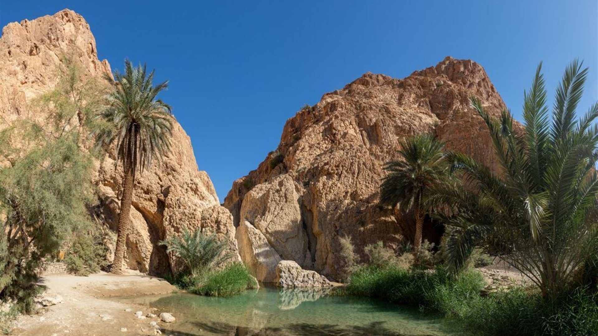 Premium Tunisia
