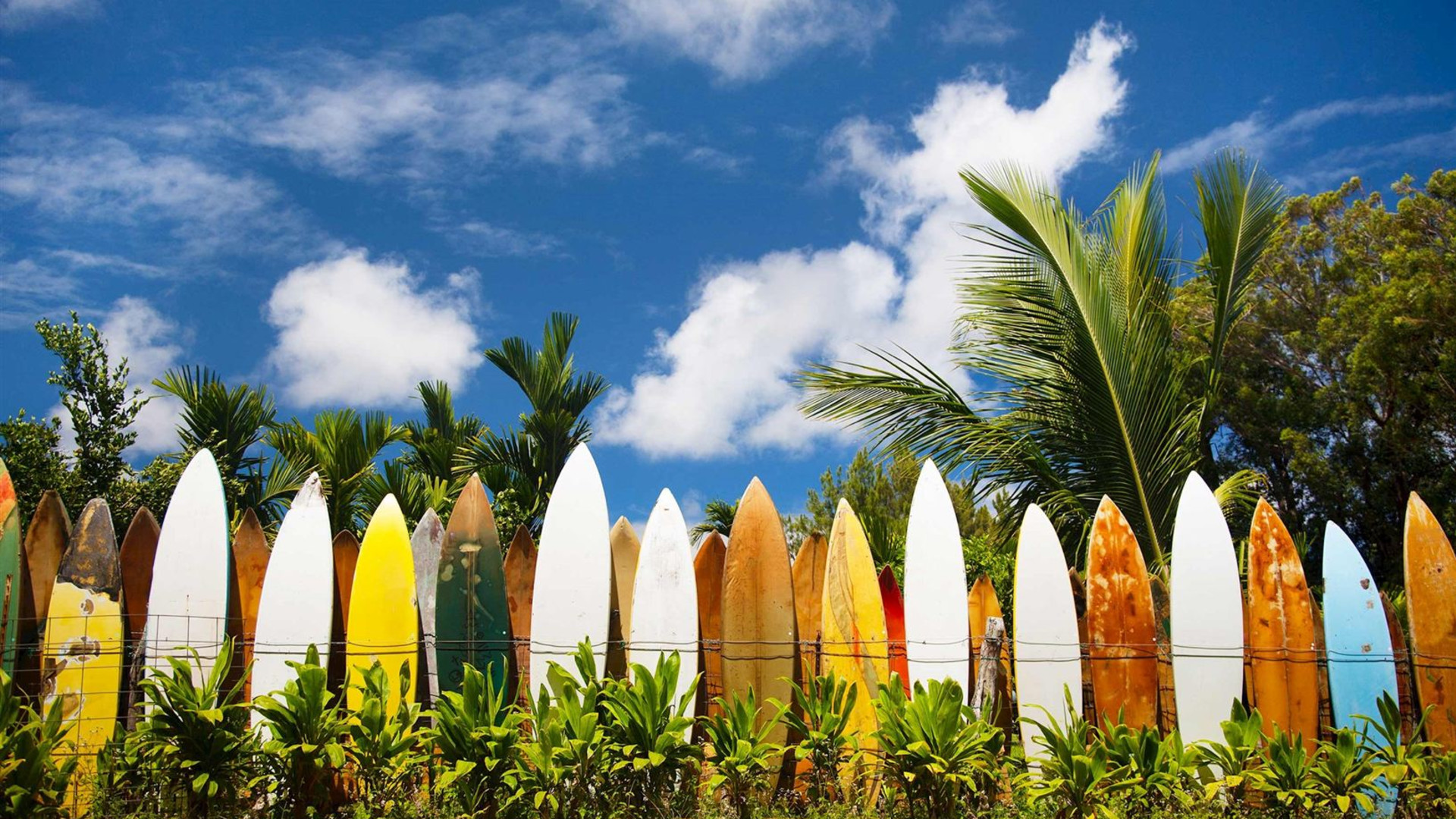 Best of Hawaii