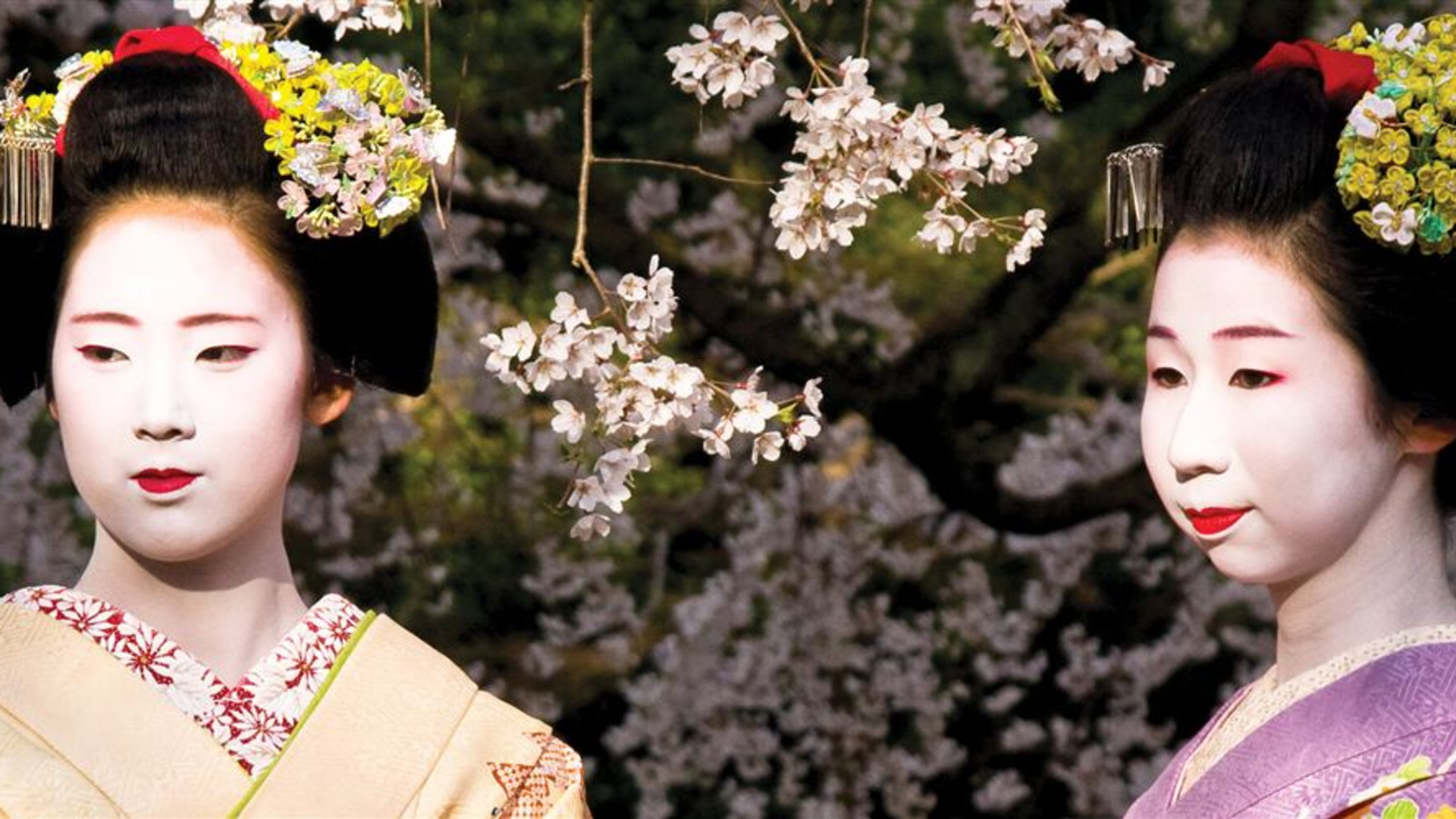 Japan Adventure
