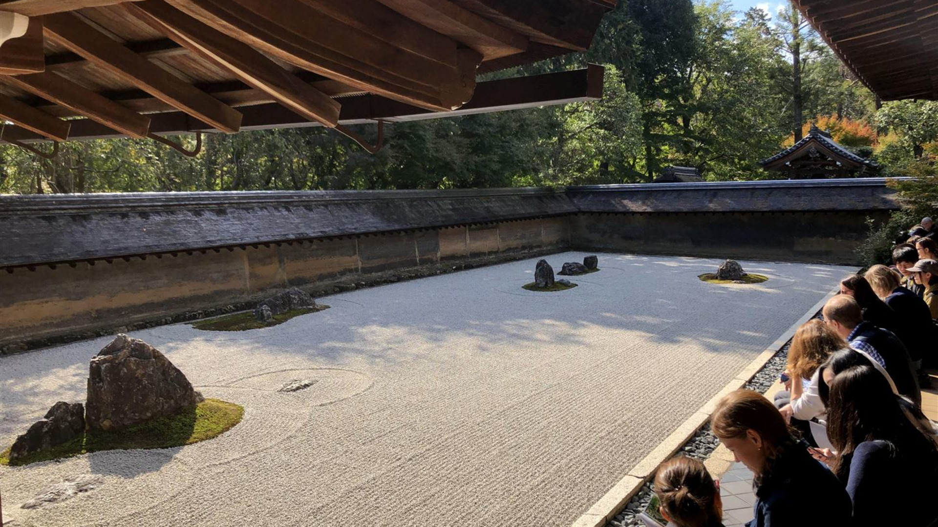 Absolute Active Japan