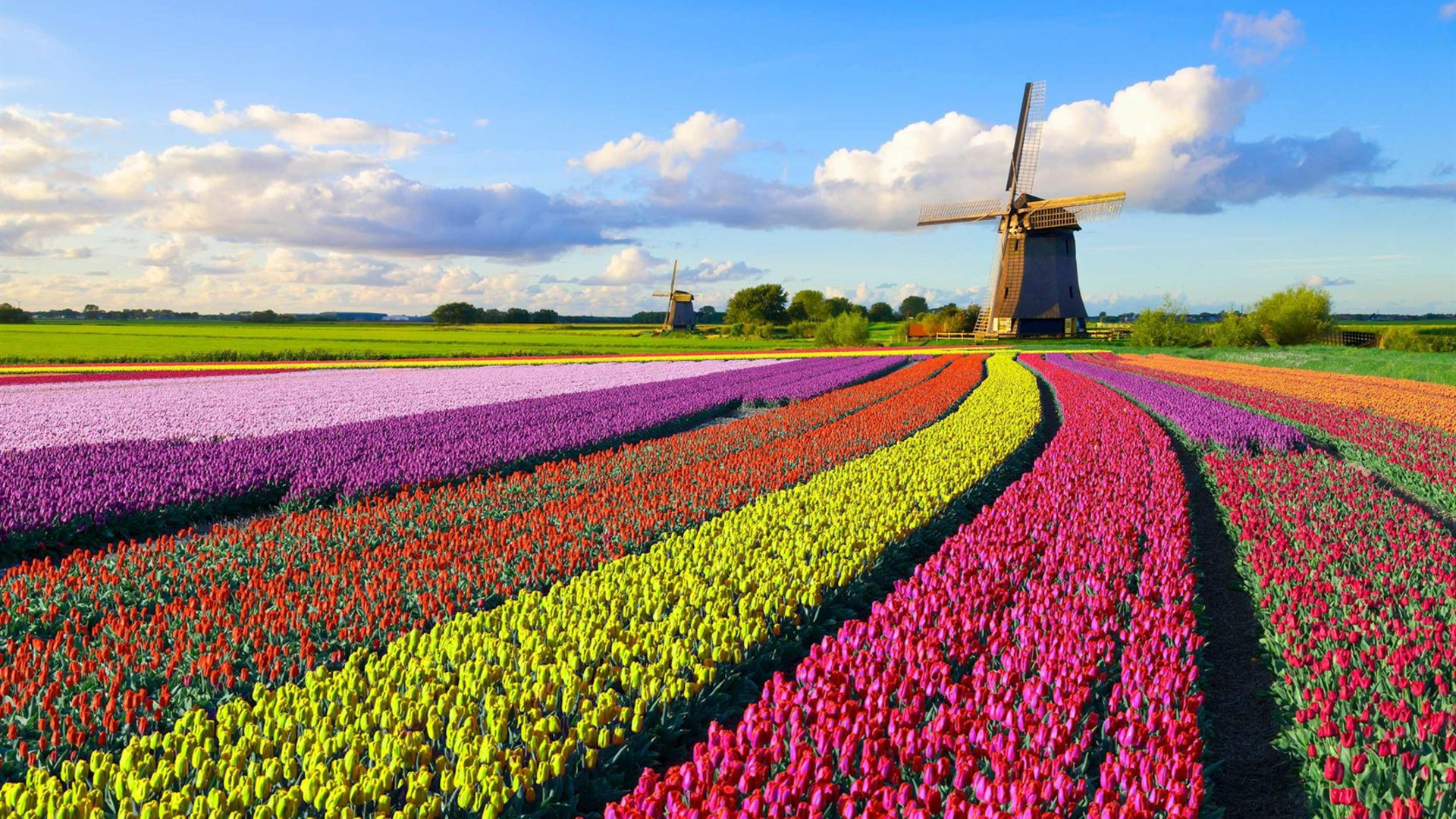 Best of Holland