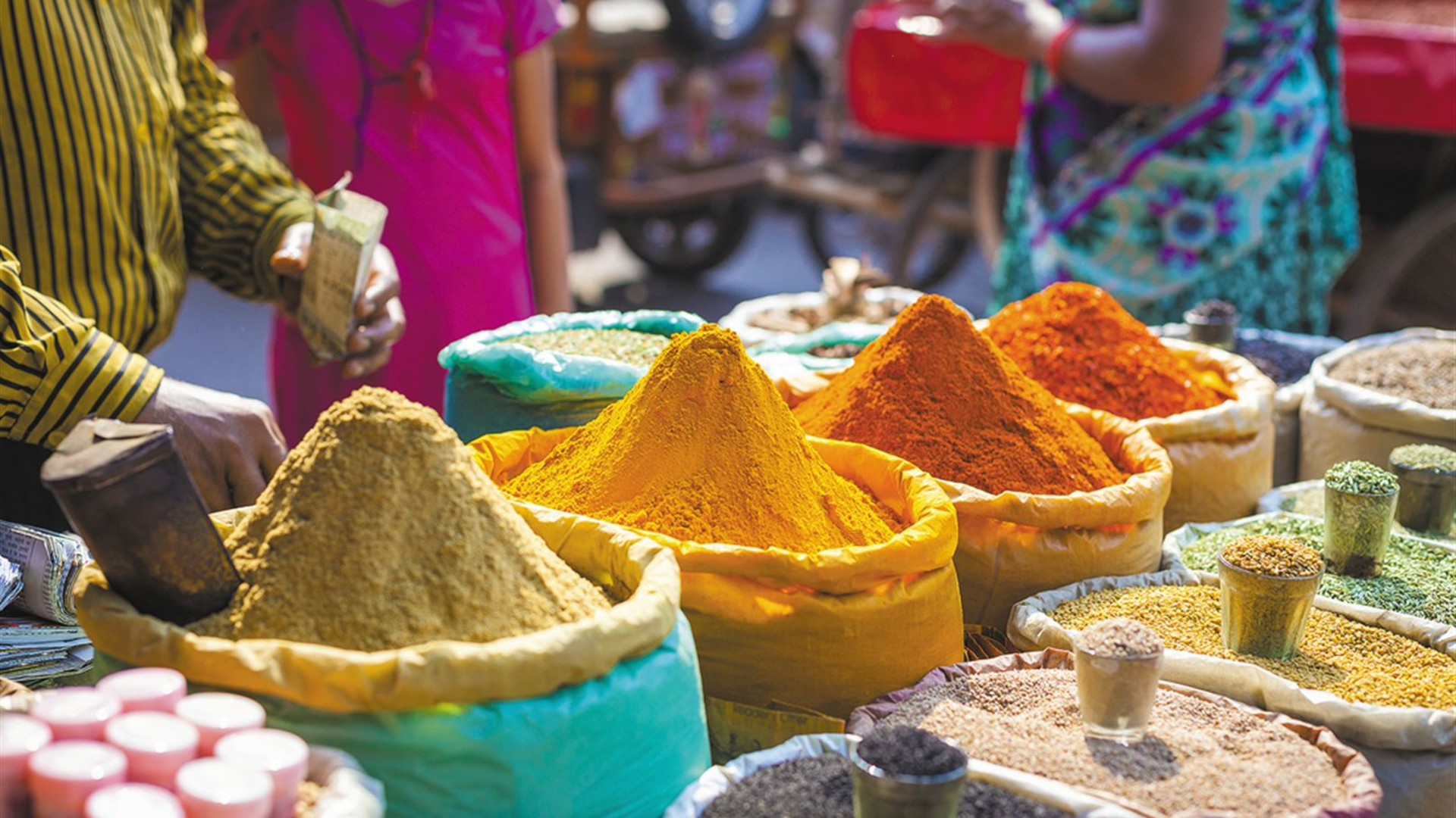 India Real Food Adventure