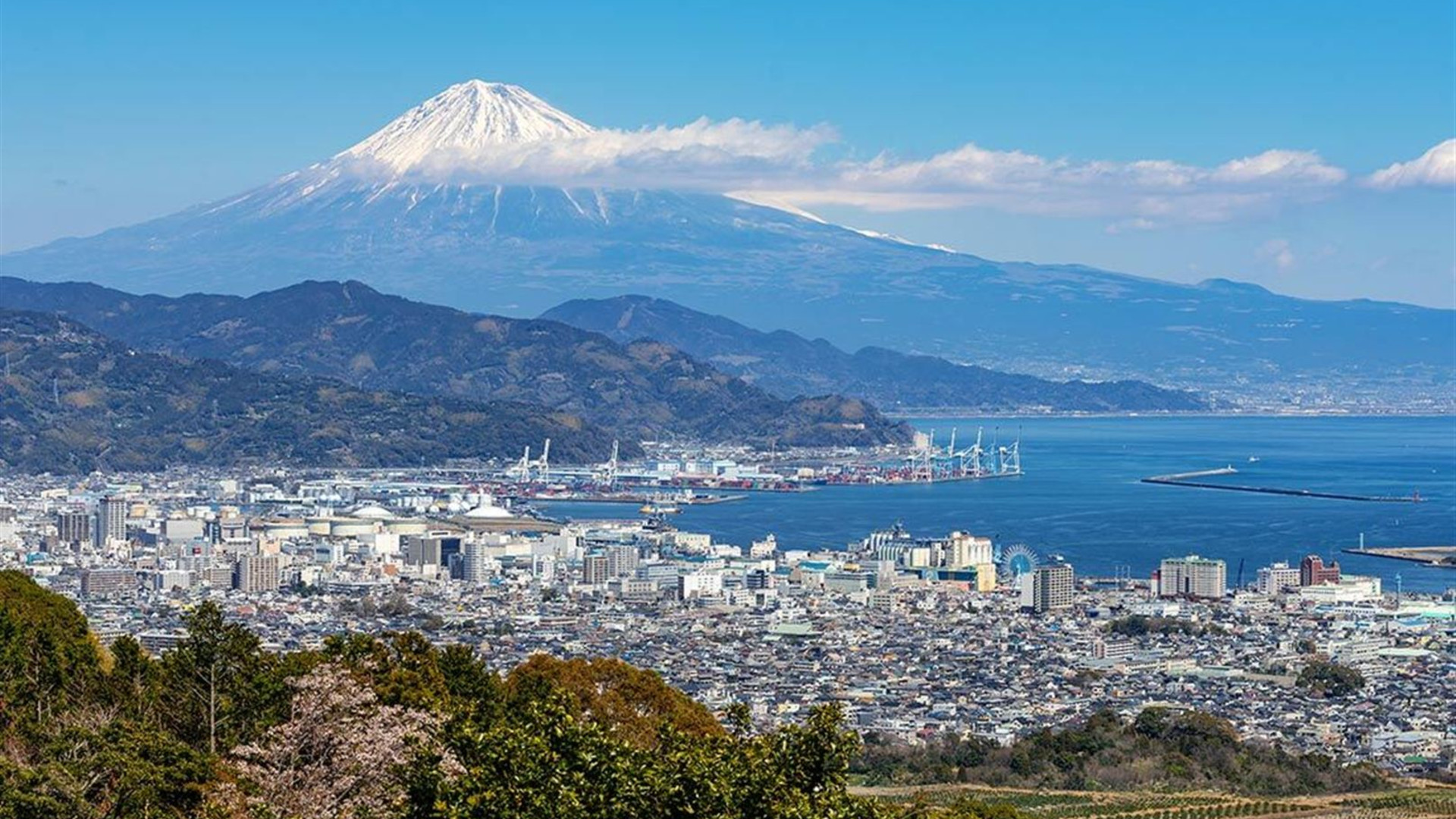 Japan Adventure