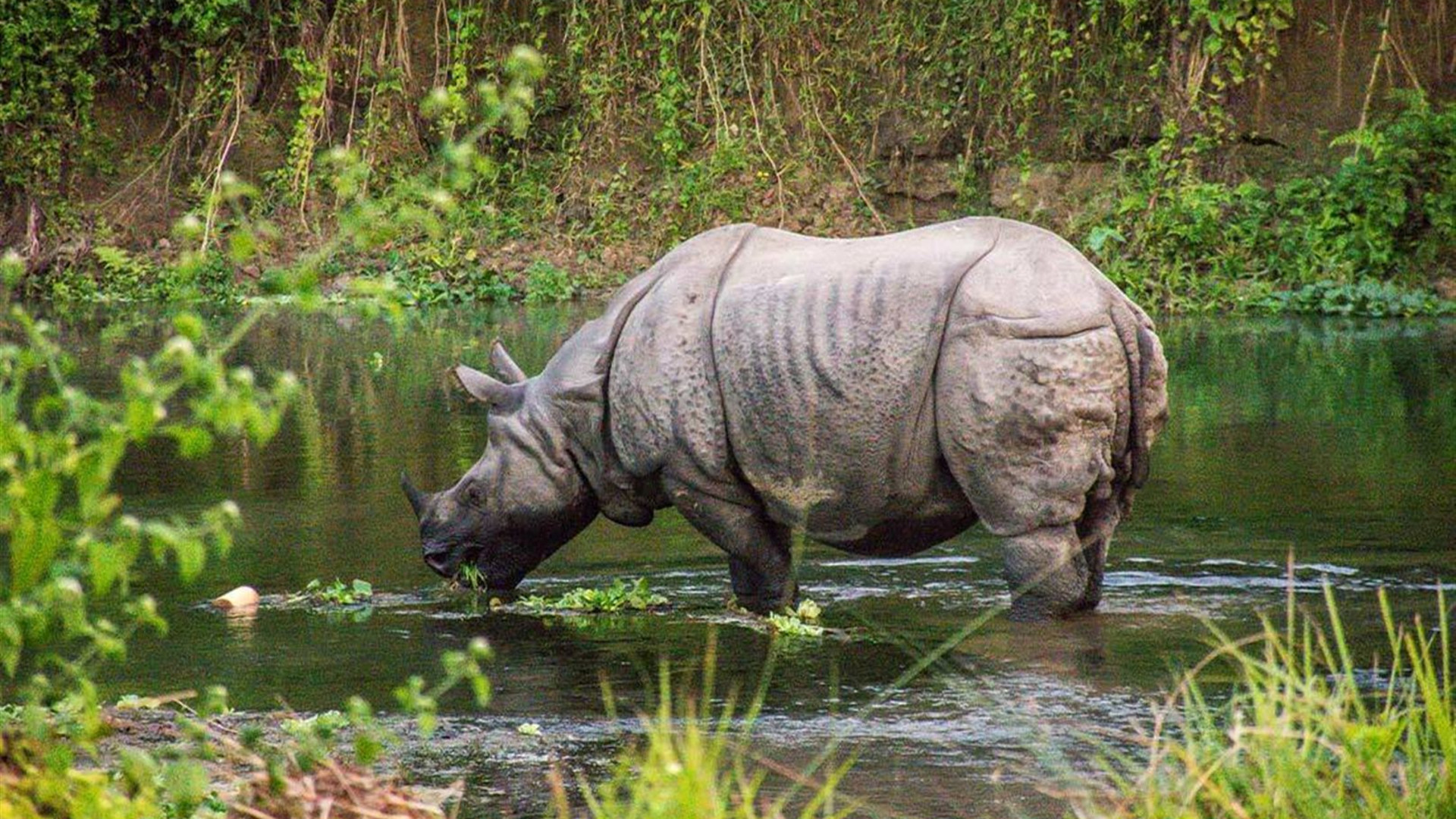  Nepal Adventure