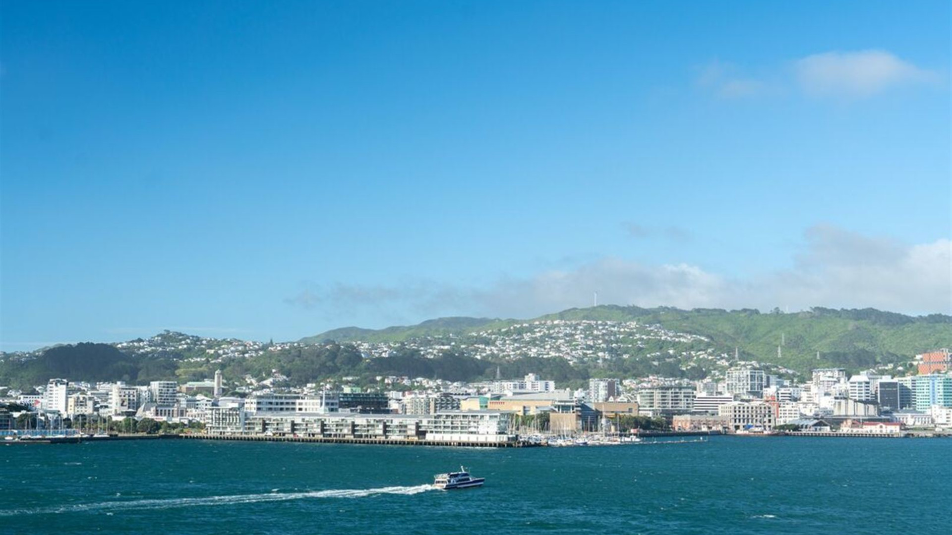 Premium New Zealand North Island