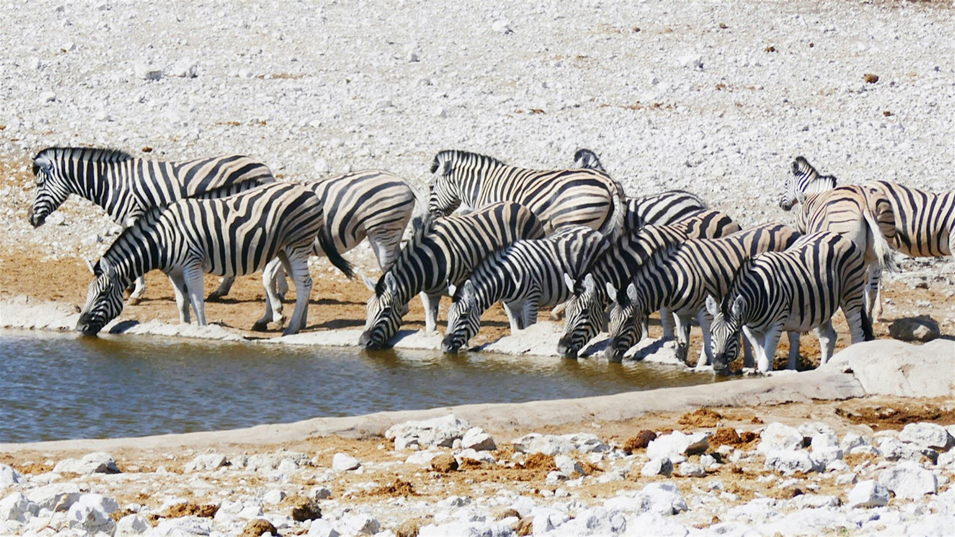 Namibia and South Africa