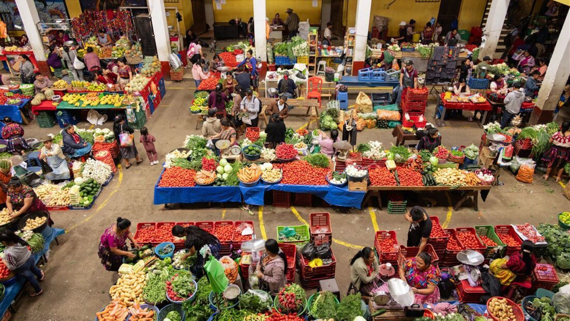 Central American Adventure