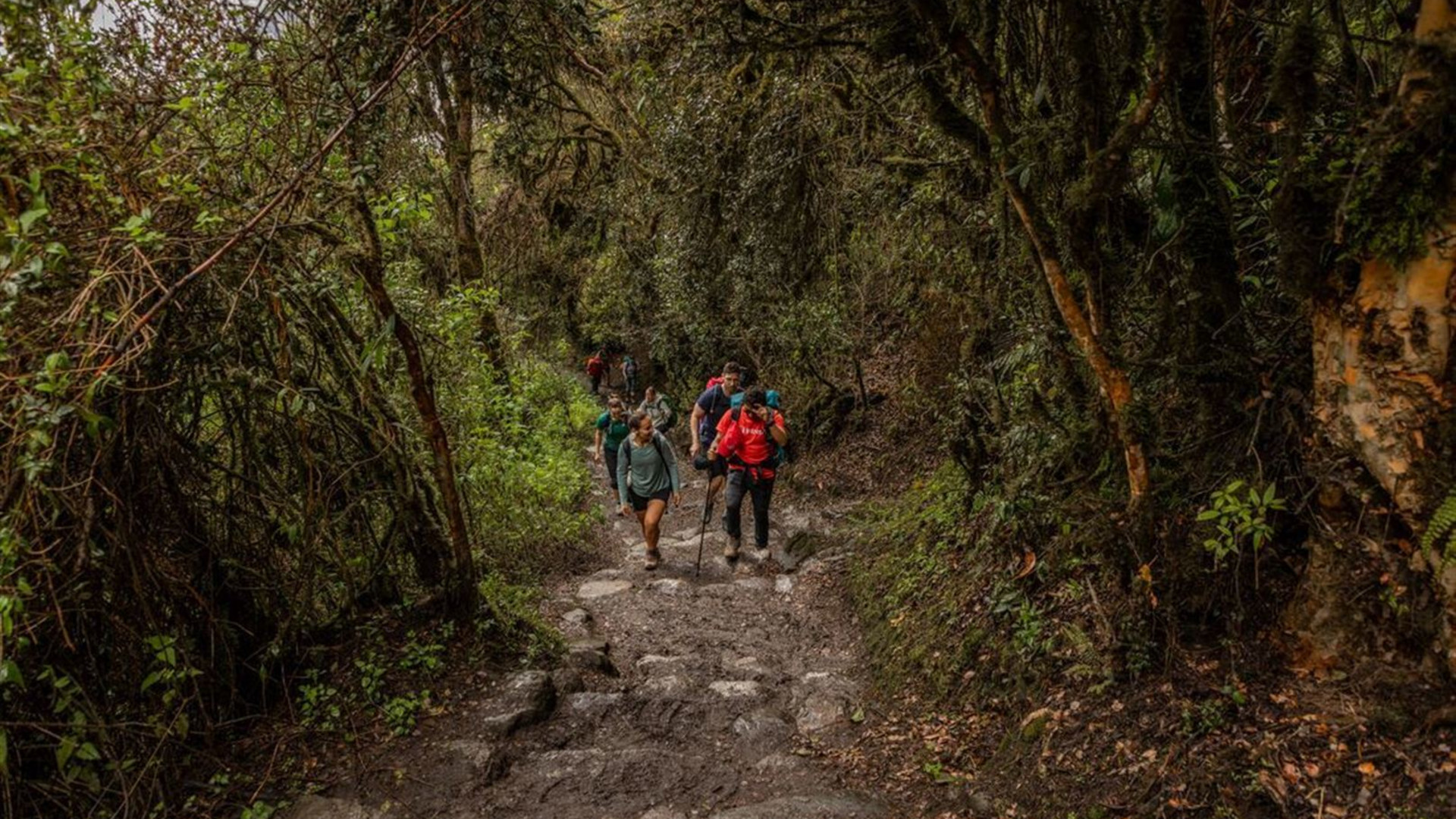 Inca Encounter