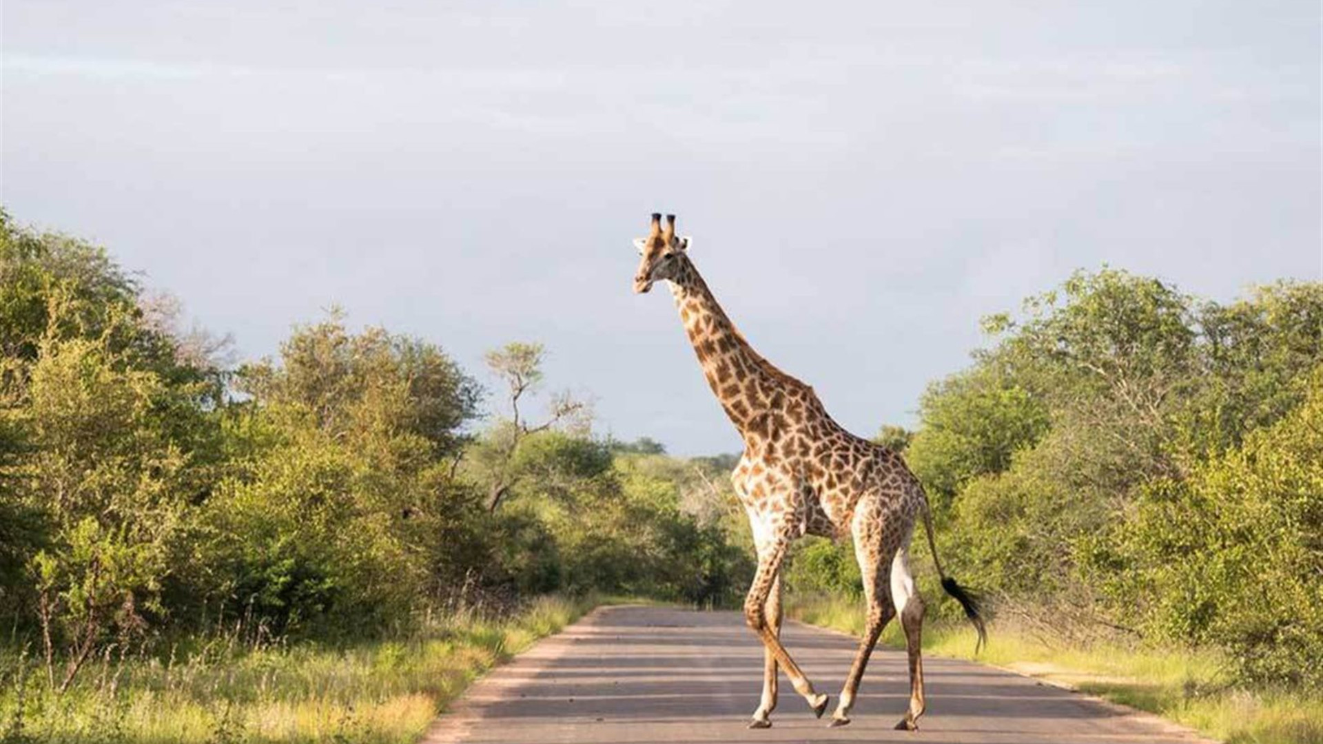 Southern Africa Adventure