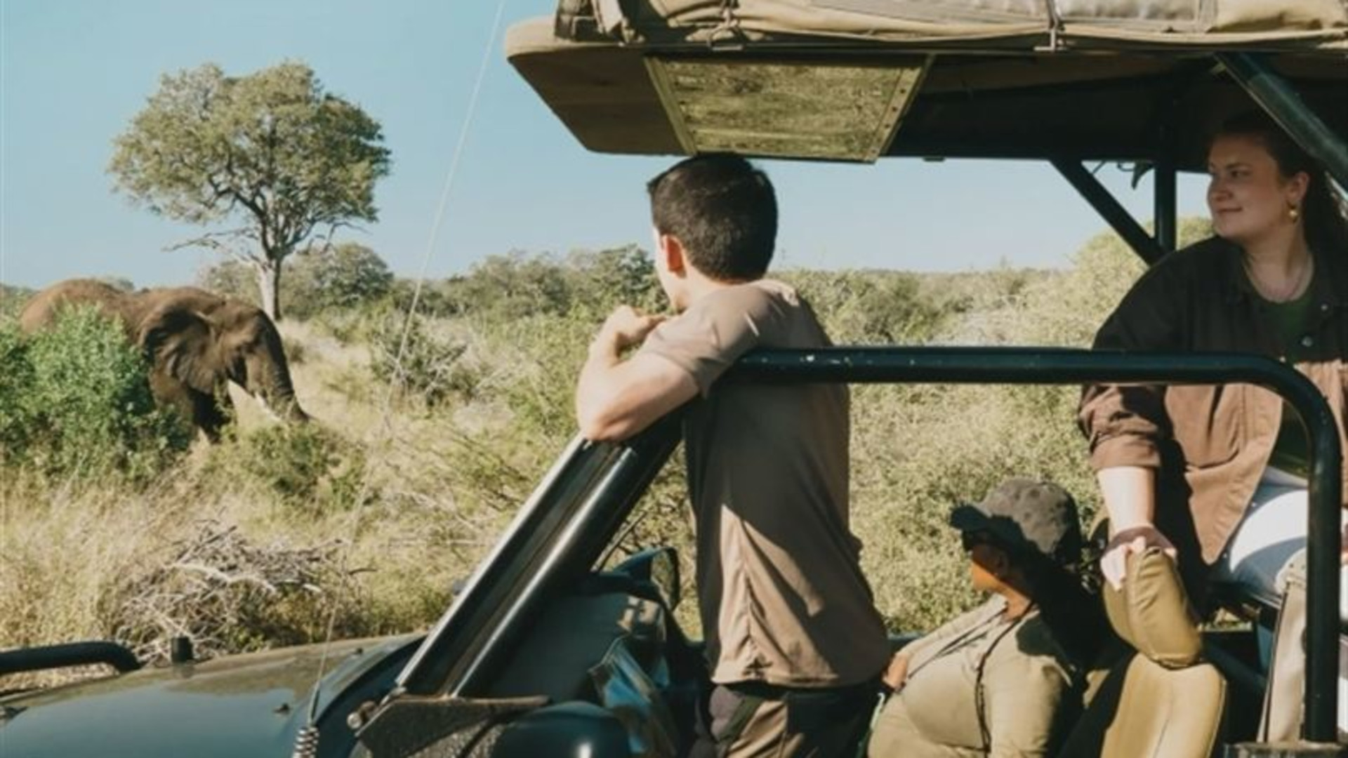 Become a Safari Guide in Kruger