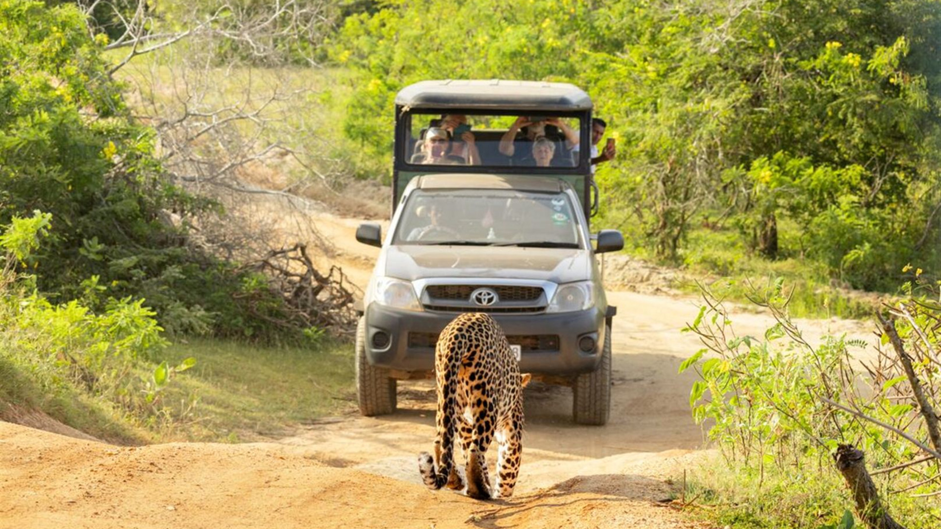 Sri Lanka Real Food Adventure