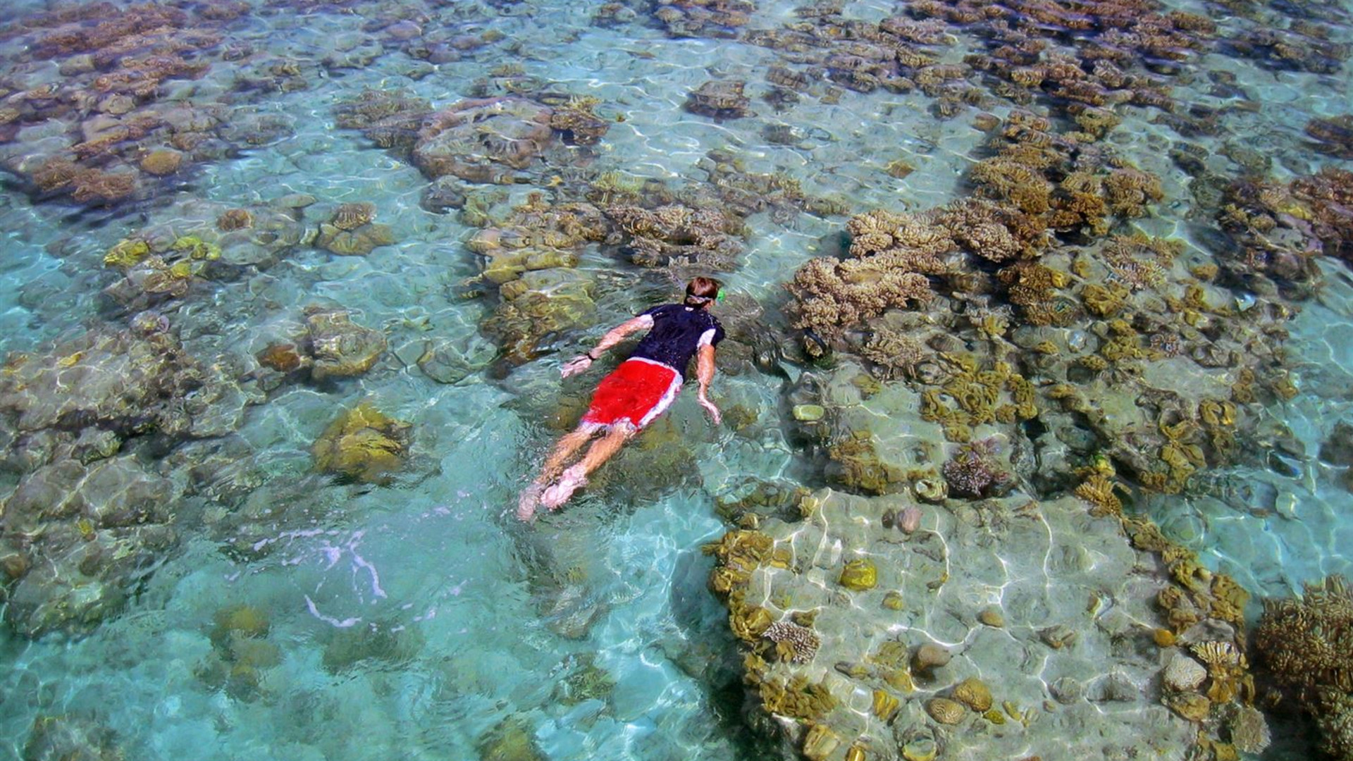 South Pacific Wonders