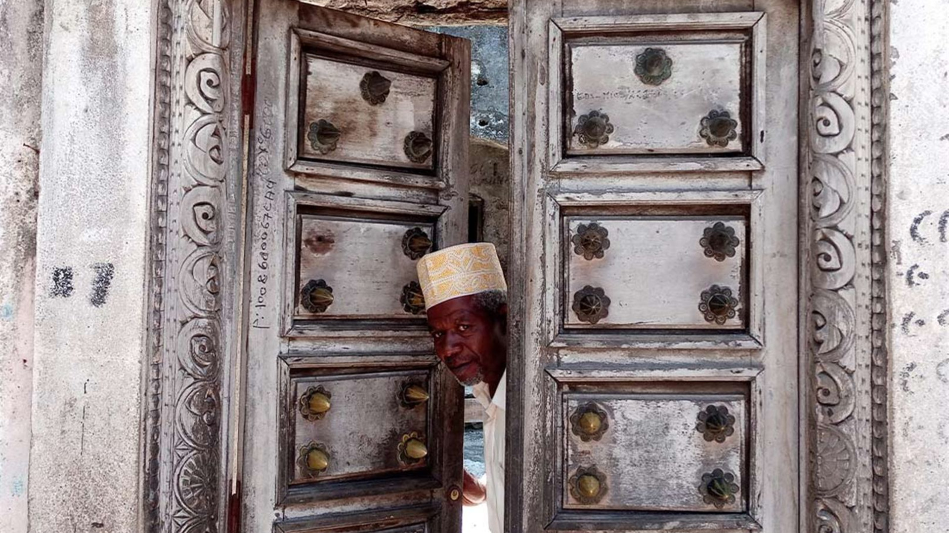 Comoros: Wildlife Expedition