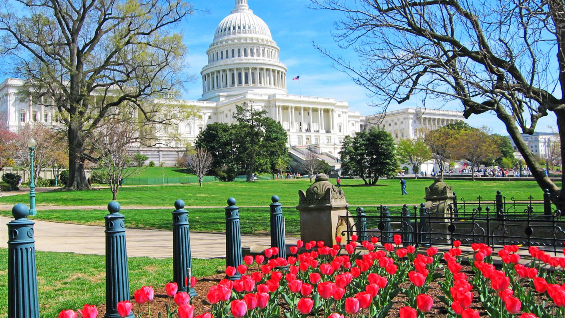 Spotlight on Washington, D.C.