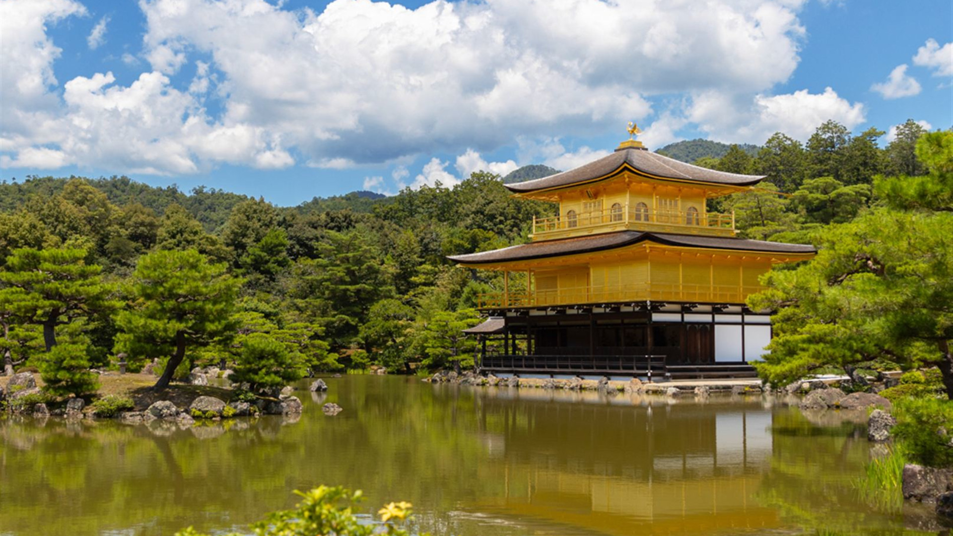 18 to 35s Essential Japan