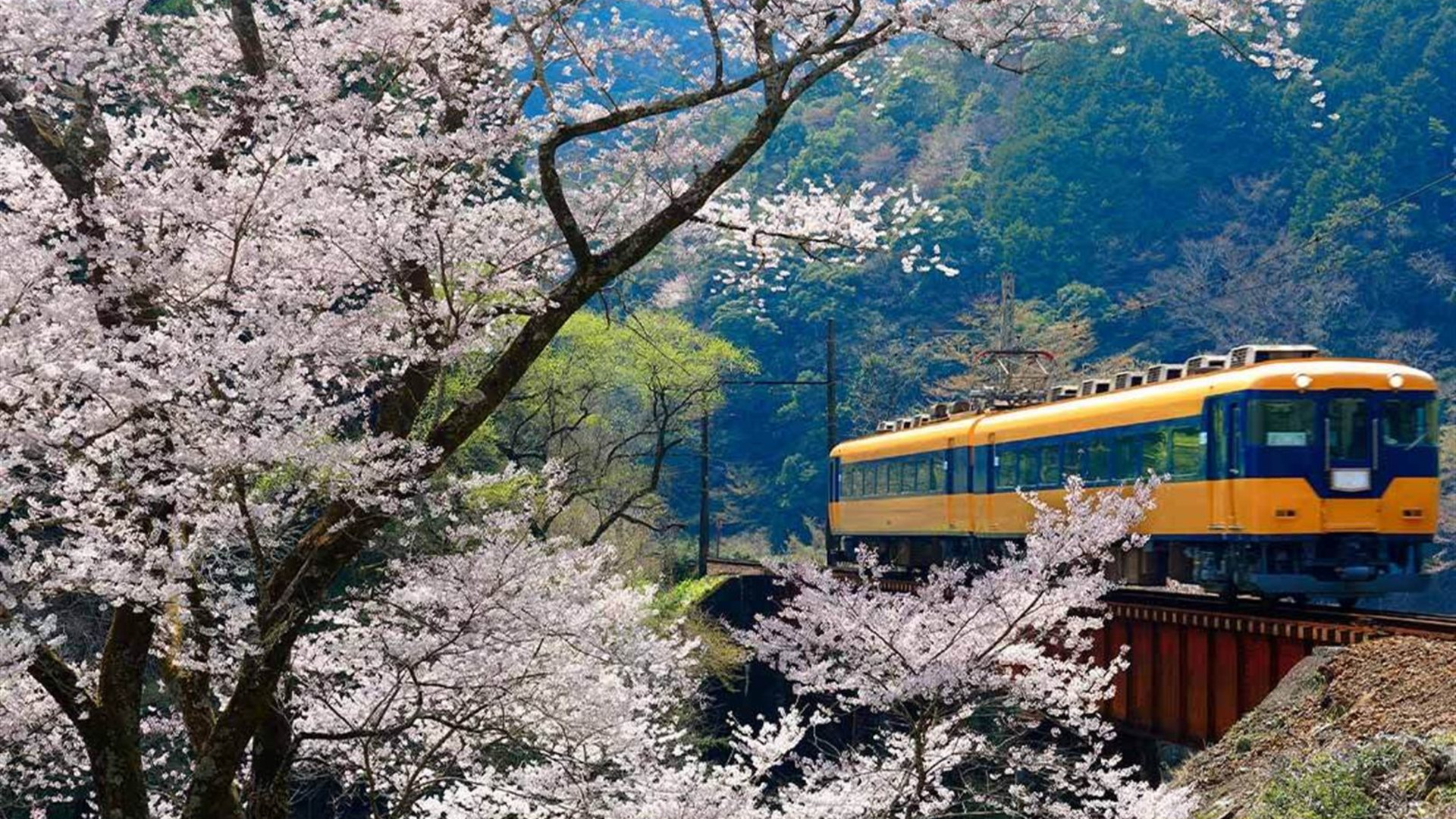 Japan Adventure
