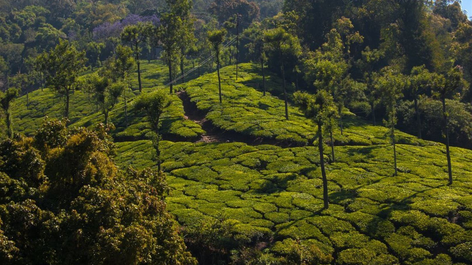 Southern India