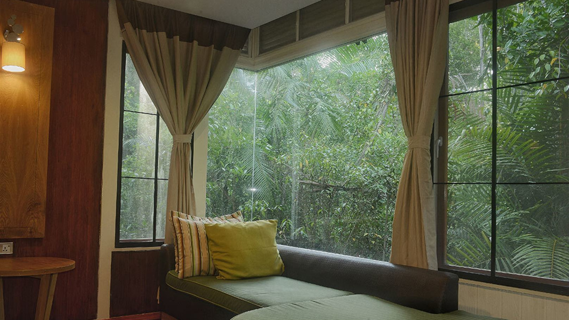 Premium Borneo in Depth