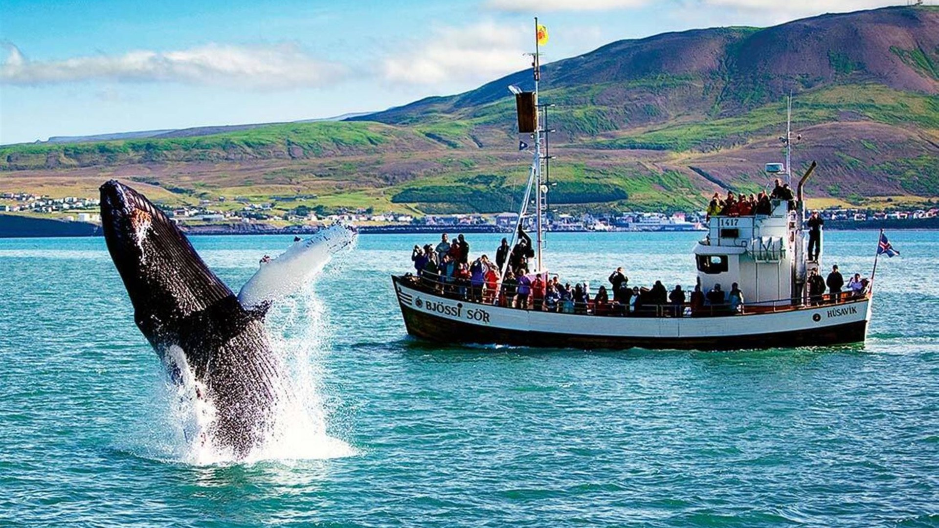 Premium Iceland