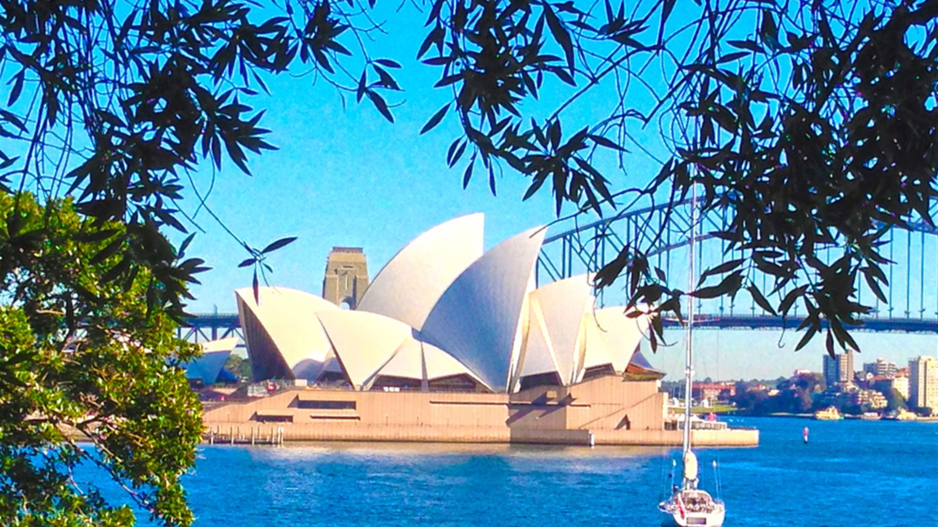 Australia's Outback to New Zealand's South Island