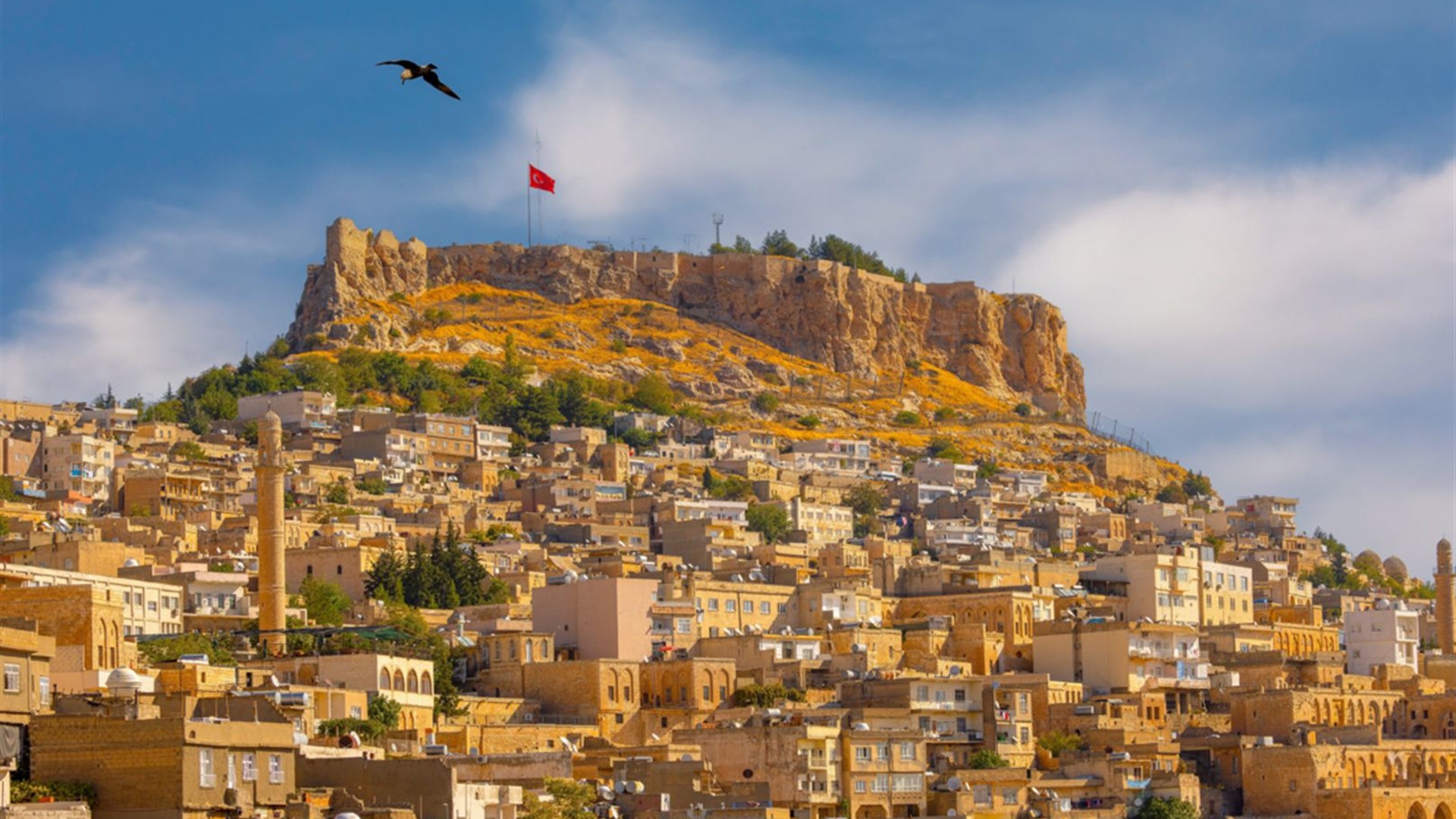 Eastern Turkey Explorer