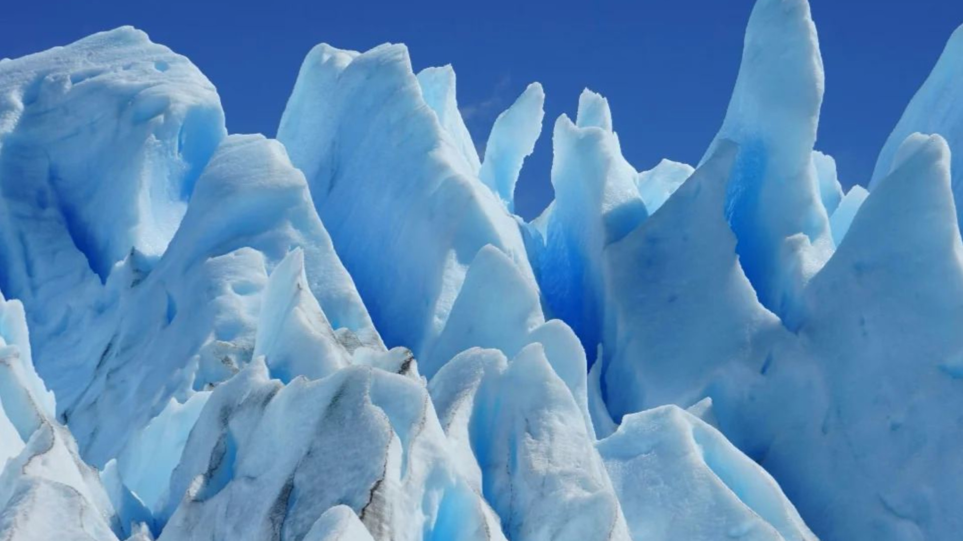 Signature: Argentina, Chile & the Heart of Patagonia