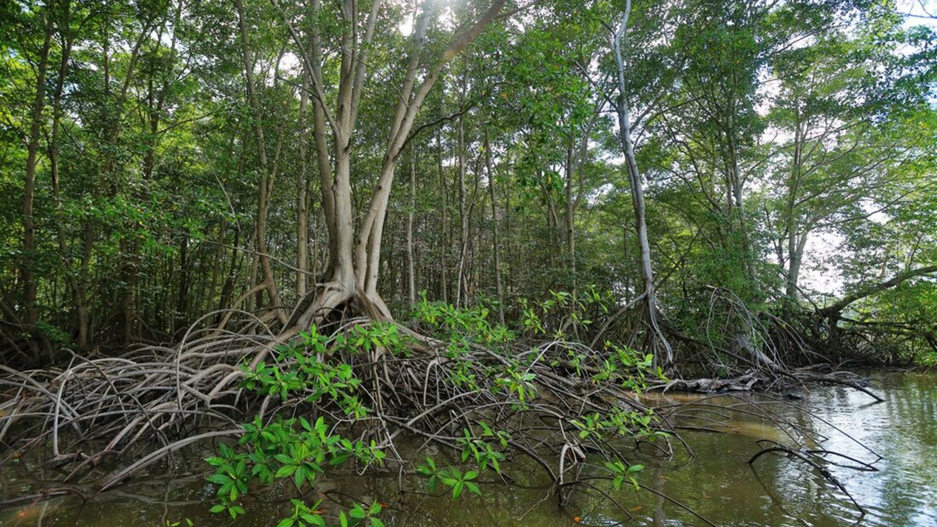 Route of the Maya