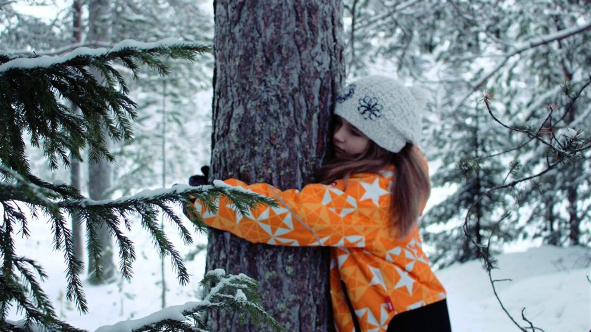 Finnish Lapland Winter Family Holiday