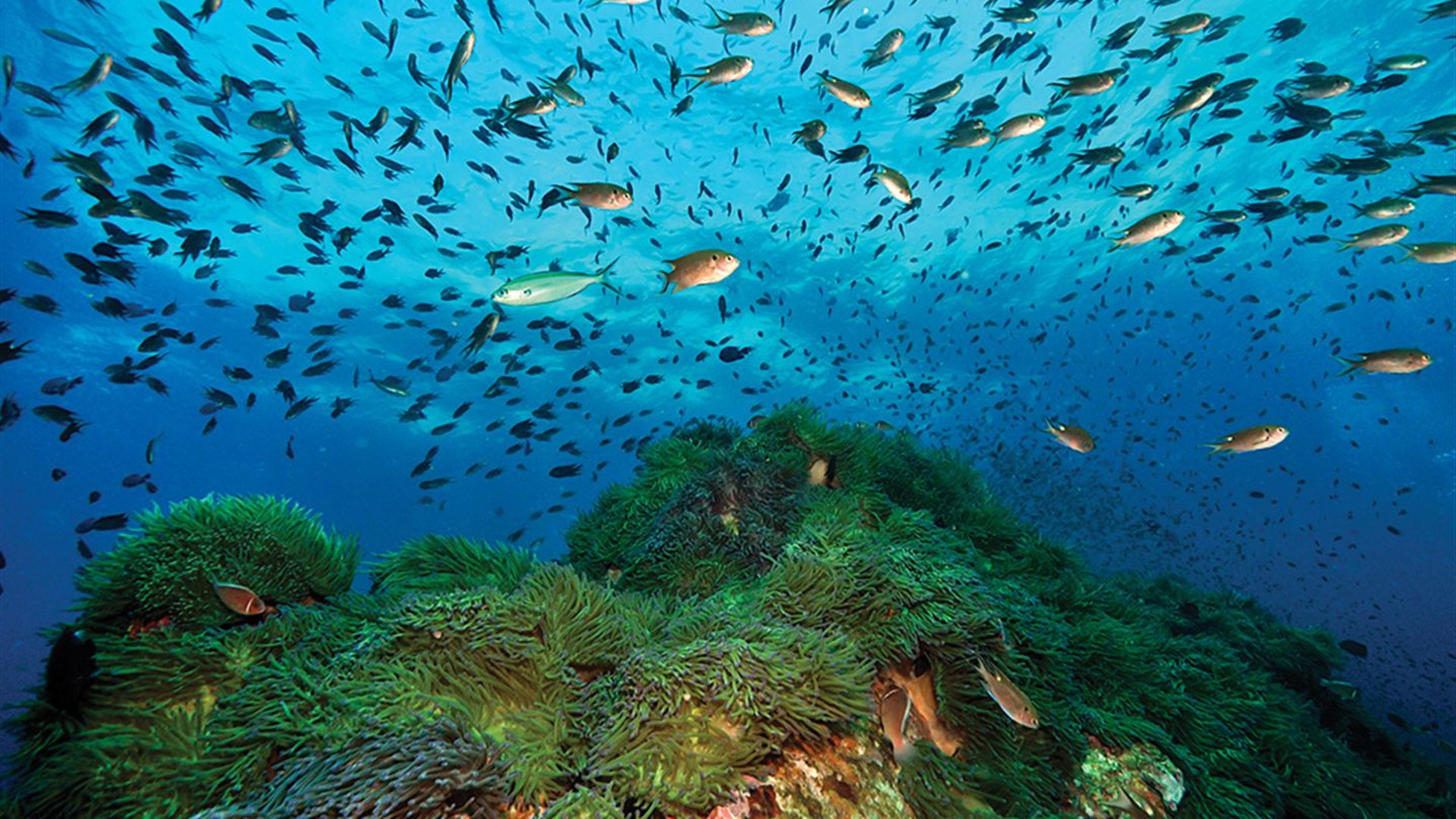 Southern Thailand Sojourn: Nightlife & National Parks
