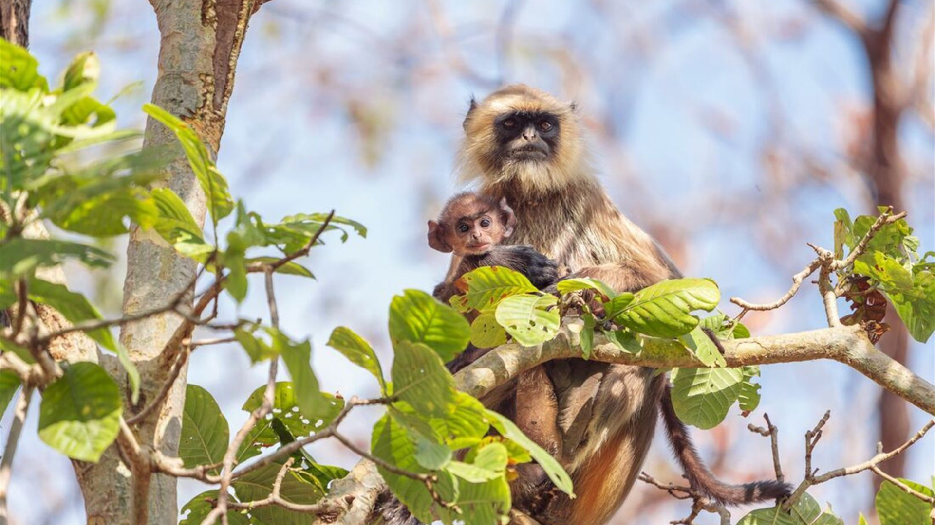 Northern India Family Holiday